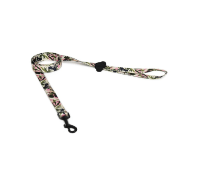 Correa Forest Pink Brnx1