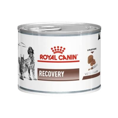 Royal Canin Recovery Alimento Húmedo Gatos Y Perros 145Gr.