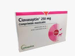 Clavaseptin (Amoxicilina + Ácido Clavulánico) Comprimido 250 Mg1