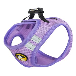Arnés Wonder Dog Talla XS