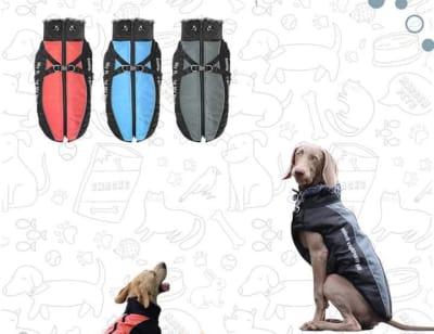 ROPA (PARKA CHIPORRO REFLECTANTE)