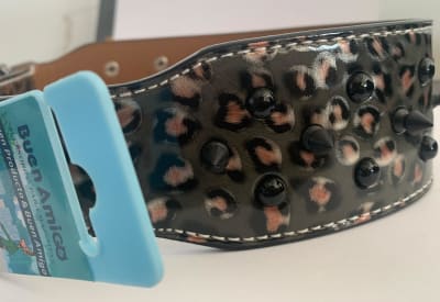Collar Con Púas Estilo Tigre