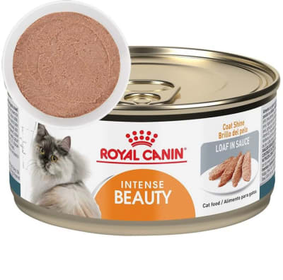 Royal Canin Intense Beauty Felino Lata 145grs