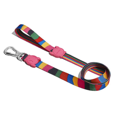 Correa Chroma Small ZeeDog1