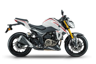 DR 300