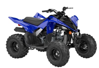 RAPTOR 110 R
