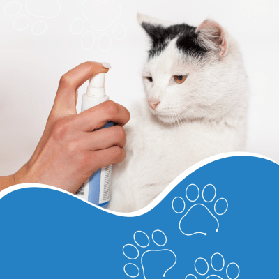 Líneas Especializadas