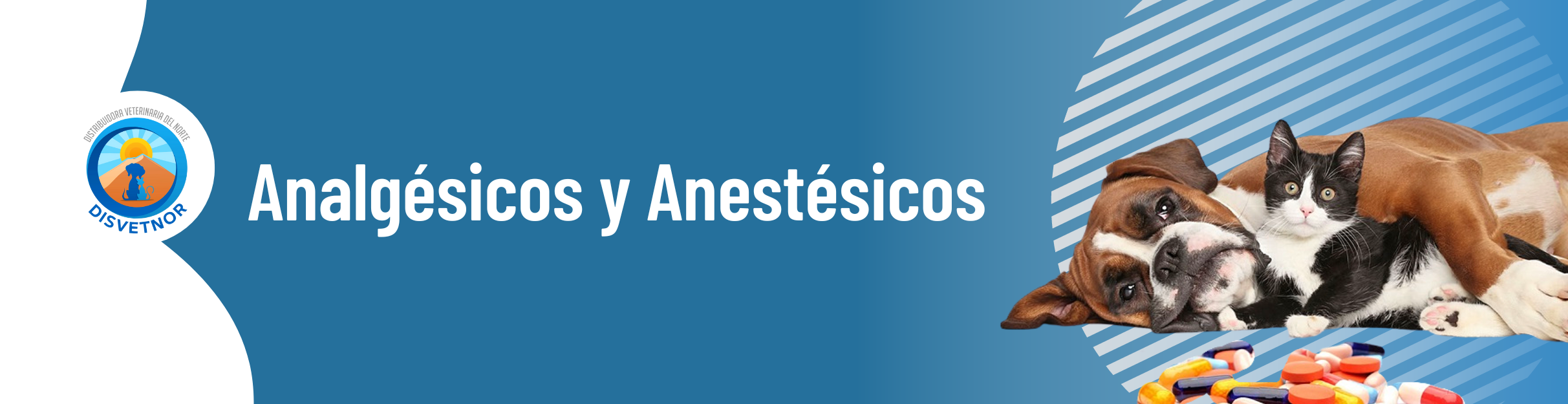 Analgésicos y Anestésicos