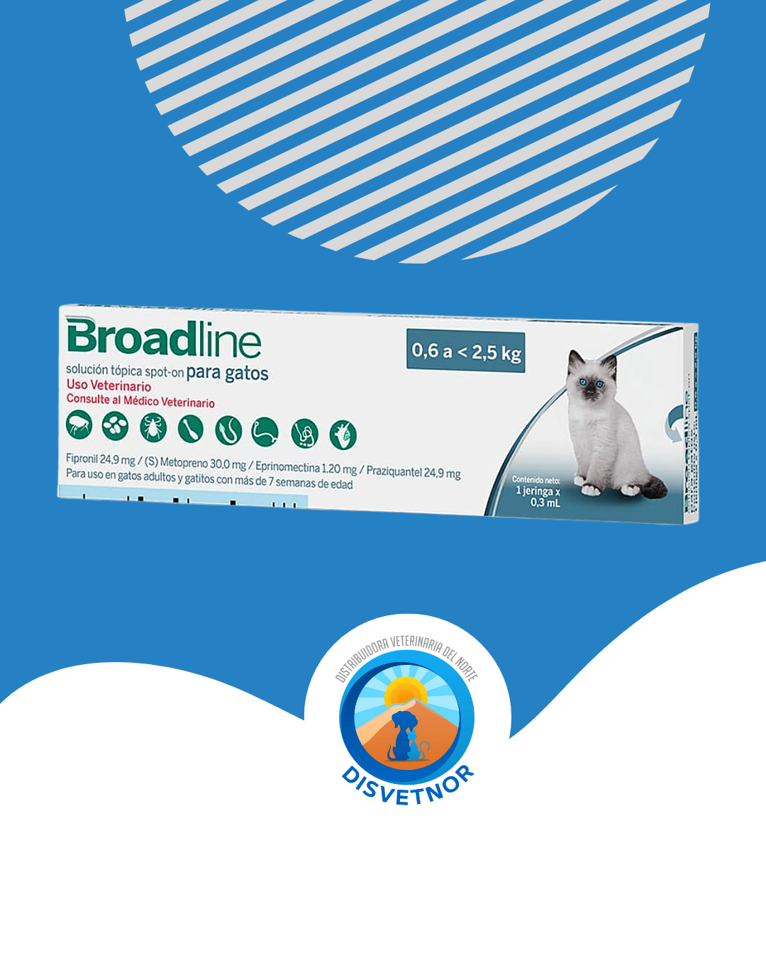 Productos destacados