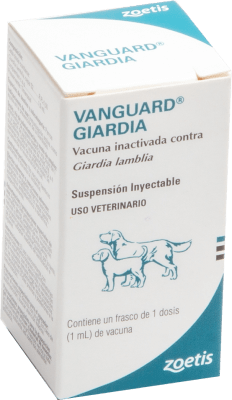 VANGUARD GIARDIA Dosis 1 ml