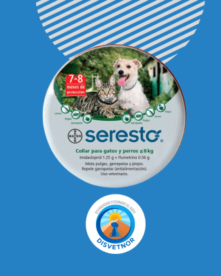 SERESTO GATOS Y PERROS