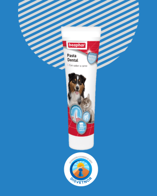 PASTA DE DIENTES PYG 100 g