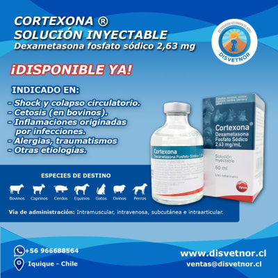 CORTEXONA 0.2%