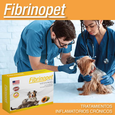 FIBRINOPET x 10 comp