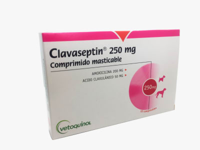 CLAVASEPTIN x10 COMP 250 mg