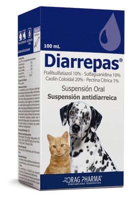 DIARREPAS SUSPENSION 100 ml