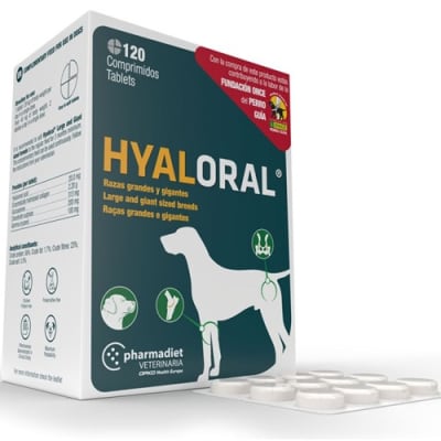 HYALORAL R. GRANDES Y GIG
