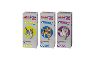 BRAVECTO PLUS GATO