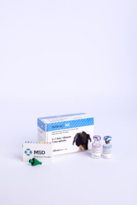 NOBIVAC® KC