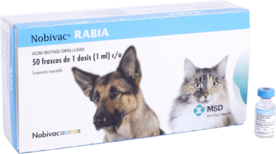 NOBIVAC RABIA x50 DOSIS