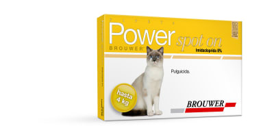 POWER FELINO hasta 4 kg