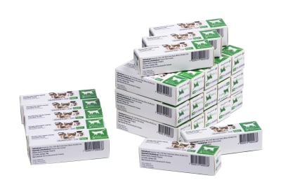 QUANTUM® CAT FeLV 5X1 DOSIS
