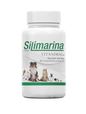 SILIMARINA x90 COMP