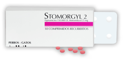 STOMORGYL x10 COMP 2 mg