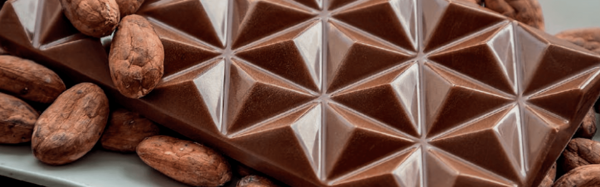 Barras de Chocolate Artesanal | Ignis Terra Patagonia