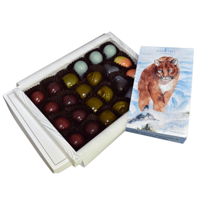 Sabores Indómitos de la Patagonia1