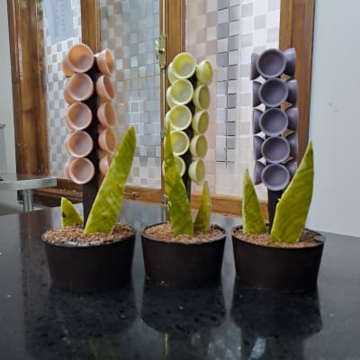 Maceta de Chochos – Edición Día de la Madre1