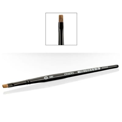 CITADEL: SMALL DRYBRUSH1