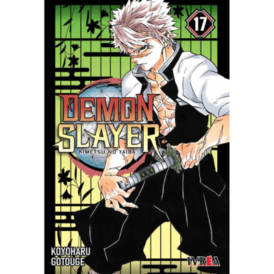 DEMON SLAYER - KIMETSU NO YAIBA 17