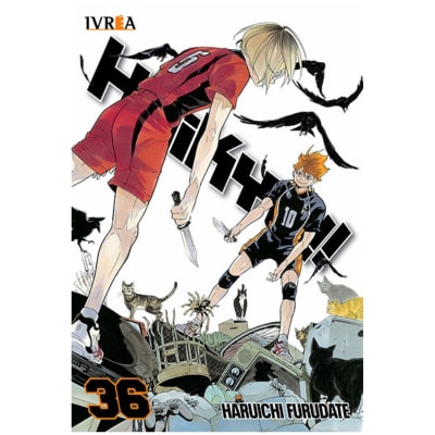 HAIKYU!! 36 - IVREA ARG