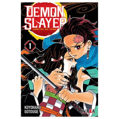 DEMON SLAYER - KIMETSU NO YAIBA 01