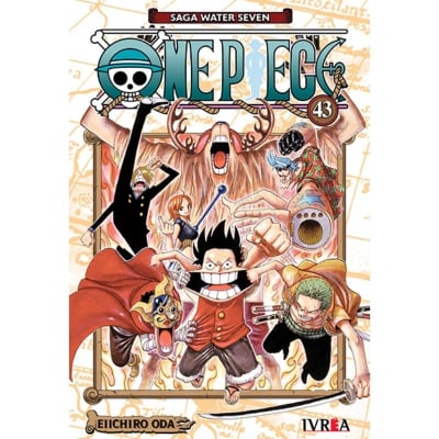 ONE PIECE 43