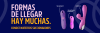 Succionadores