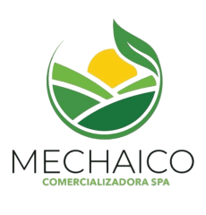 DISTRIBUIDORA MECHAICO