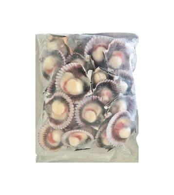 OSTIONES MED. VAL 25/35 CON CORAL 