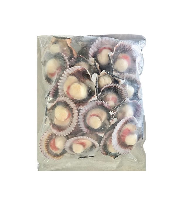 OSTIONES MED. VAL 25/35 CON CORAL 1