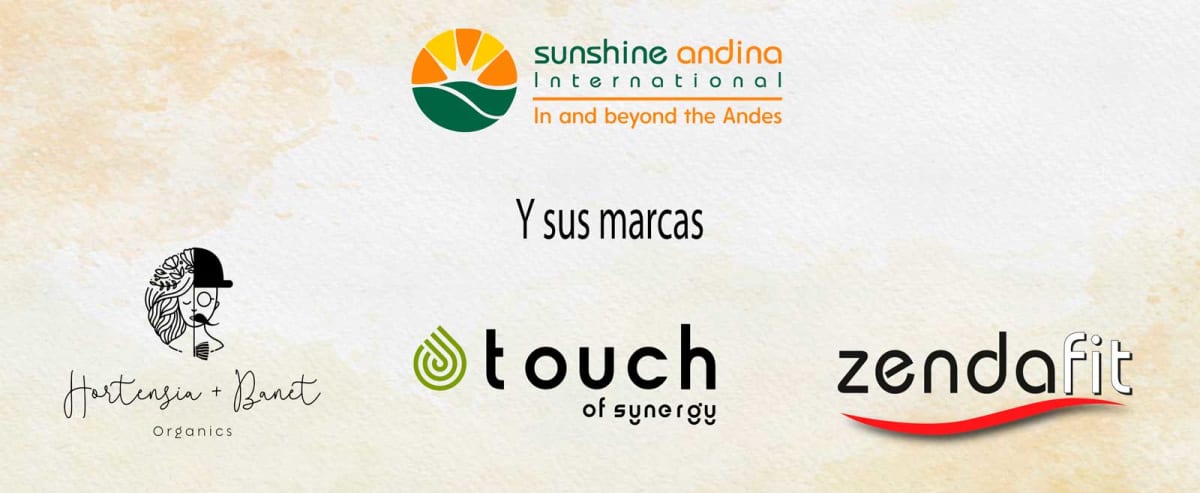 fondo principal 56x231148