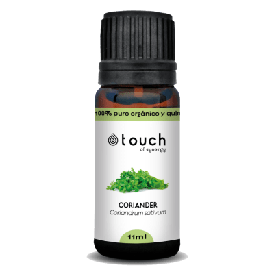 Cilantro (11 ml)