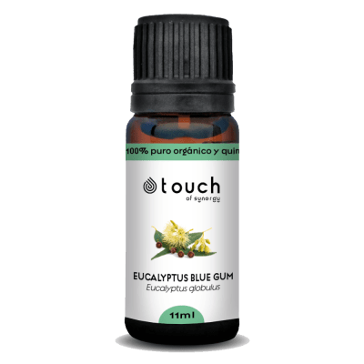 Eucalipto Comun (11 ml)