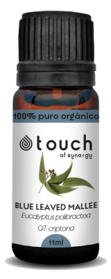 Eucalipto Polybractea (11 ml)