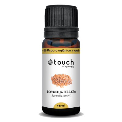 Incienso Ayurveda (11 ml)