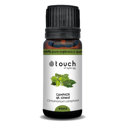 Ravintsara (11 ml)