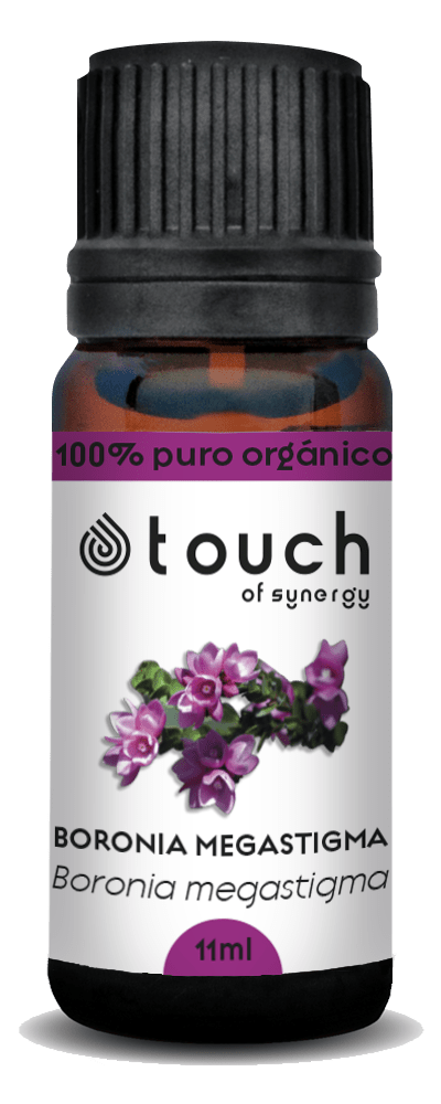 Boronia (11 ml)2