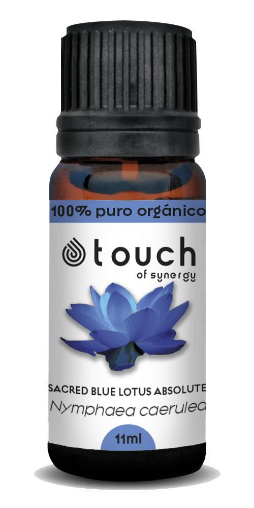 Loto Azul (11 ml)2