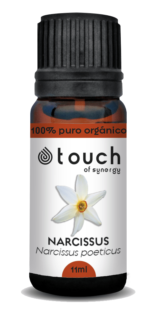 Narciso (11 ml)2