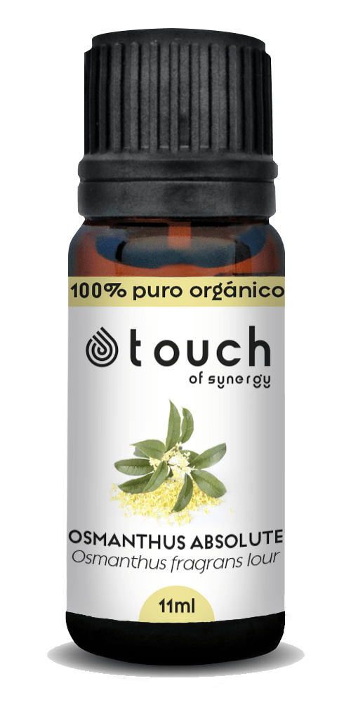 Olivo Dulce (11 ml)2